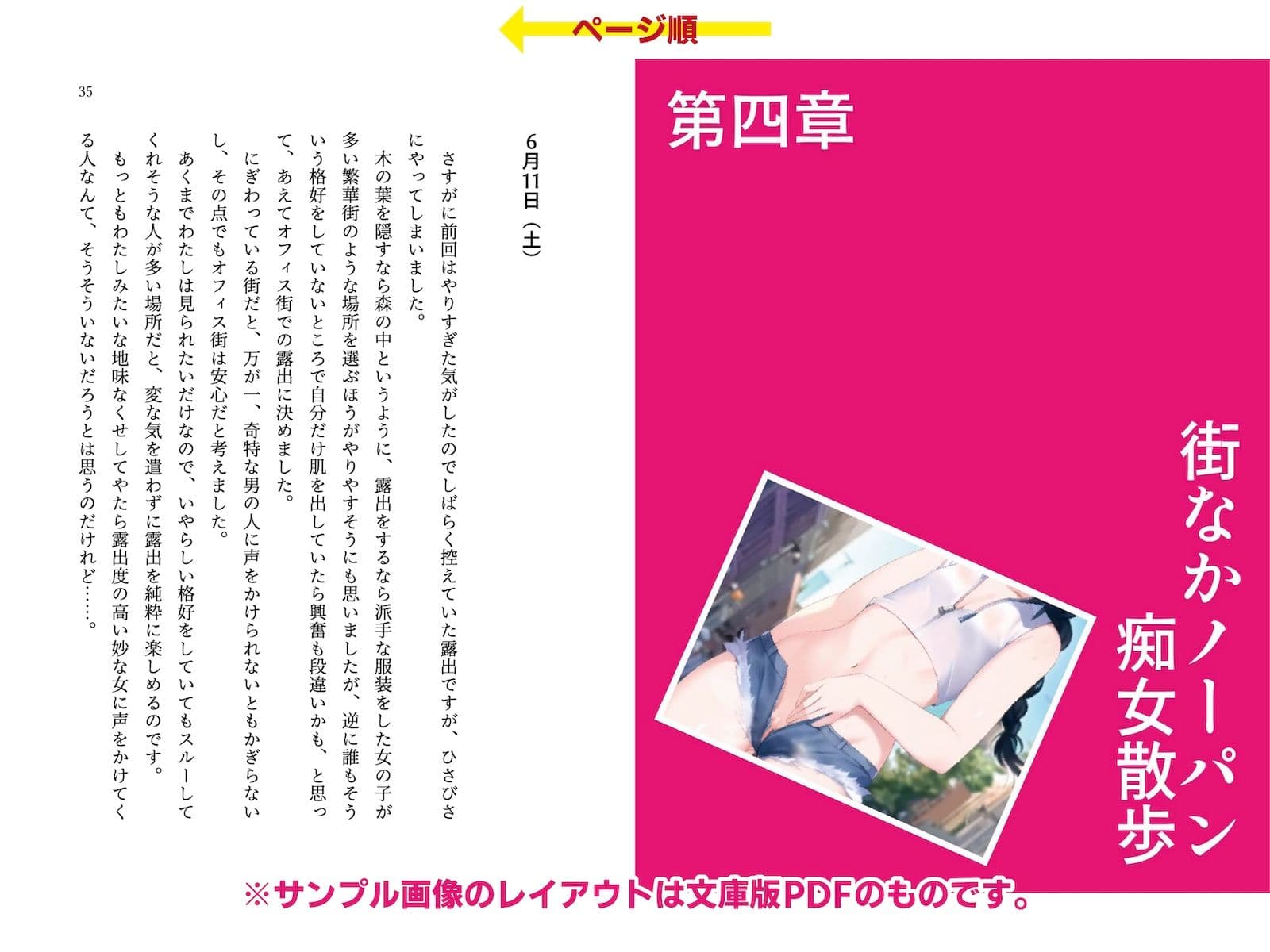 委員長・静井莉子の露出自慰日記 〜優等生のカゲキなイキぬき〜 サンプル 4