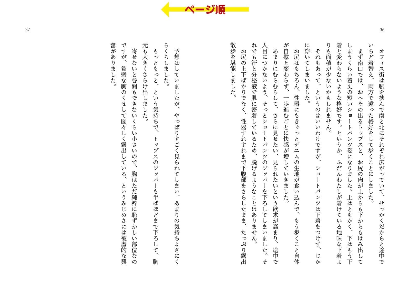 委員長・静井莉子の露出自慰日記 〜優等生のカゲキなイキぬき〜 サンプル 5