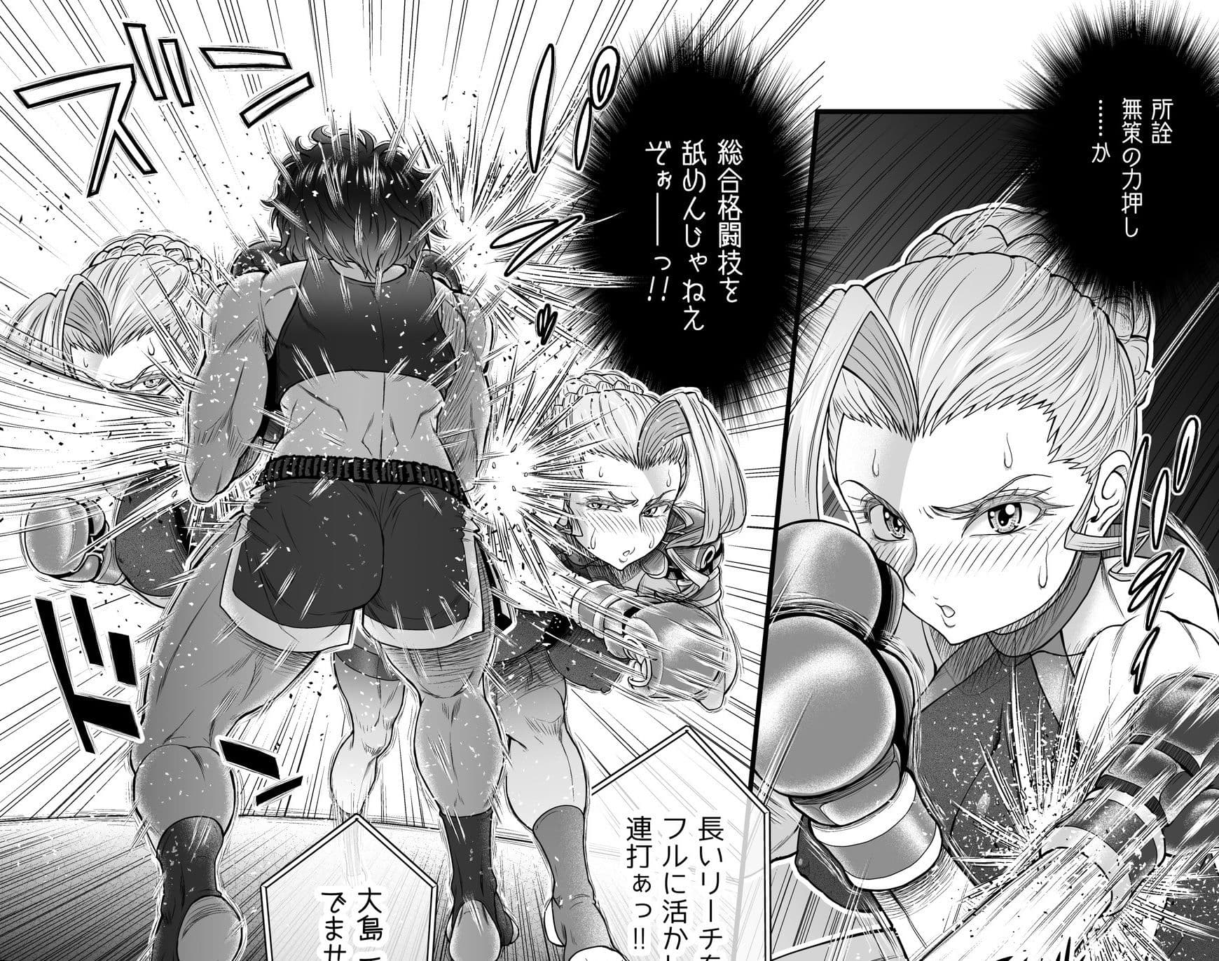 Fighting Dimention2 サンプル 4