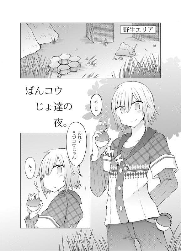 pkj総集編 サンプル 2
