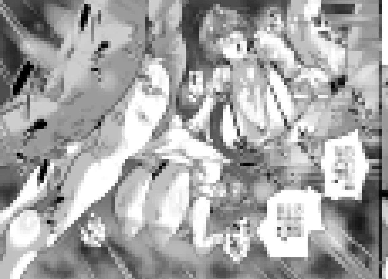 SEXしてなさそうな人ほどエグいSEXしてる説 Vol.4 サンプル 10