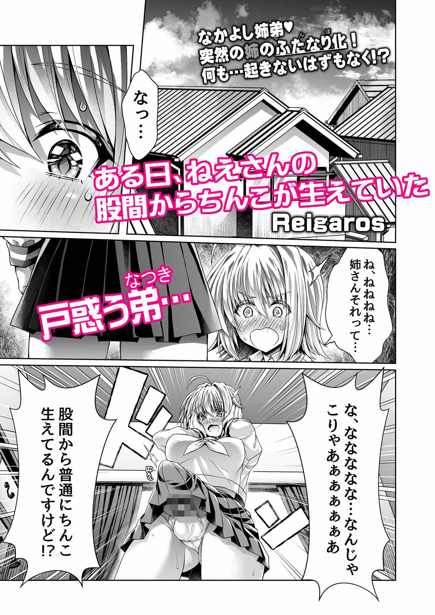 僕のおねえちゃんにちんぽが生えた！！ サンプル 2