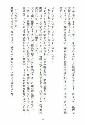 身も心もボコボコにされてぶっ壊された美女怪盗 サンプル 2