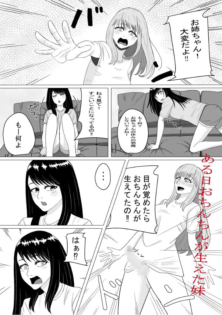 おちんちんの生えた妹と始まる話 サンプル 2