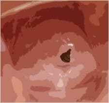 わたしの蟲姦遊び 第8話 大きいミズアブの幼虫編 全編 サンプル 3