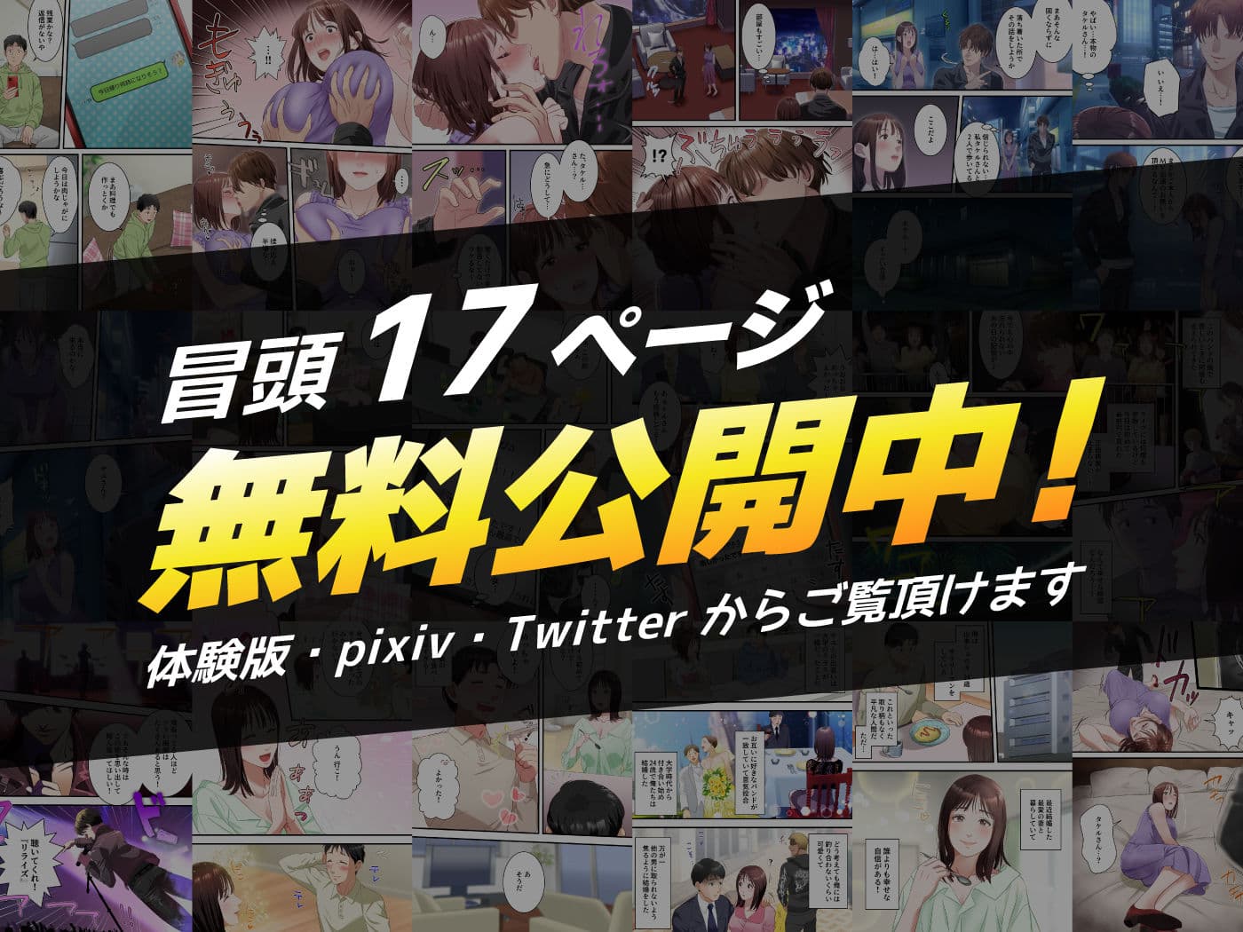 僕の最愛の妻がミュージシャンにDMナンパされてあっさり寝取られた話 サンプル 10