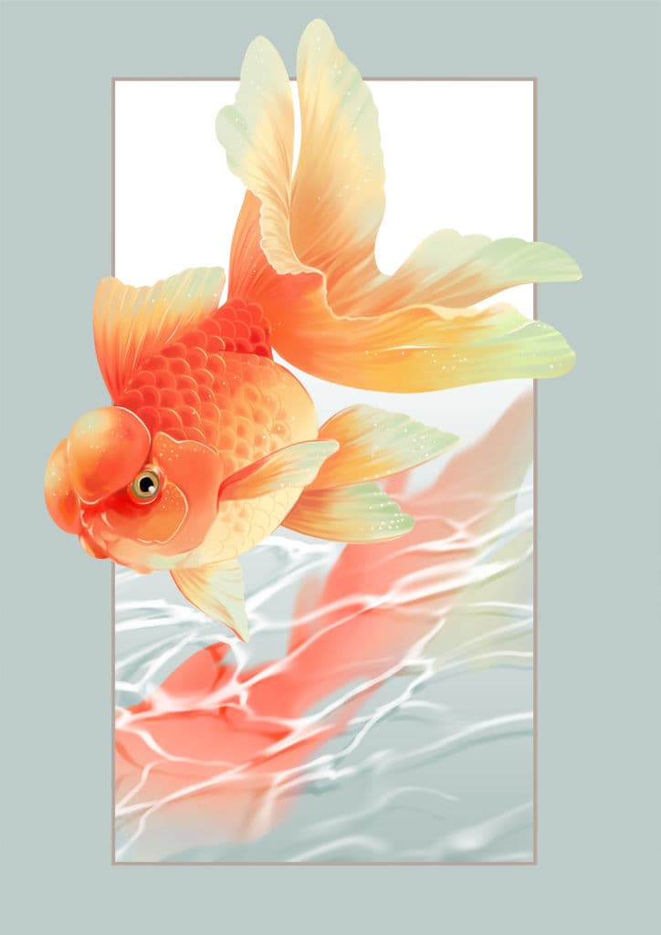 金魚と暮らす サンプル 8