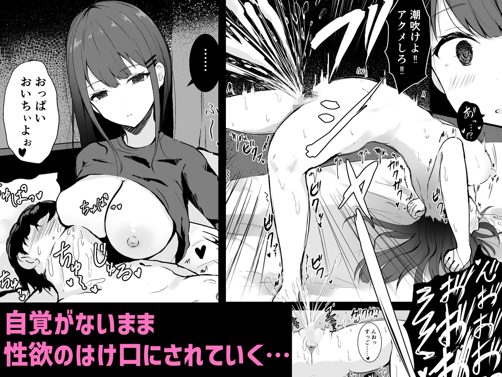 あなた専用の肉オナホです サンプル 3