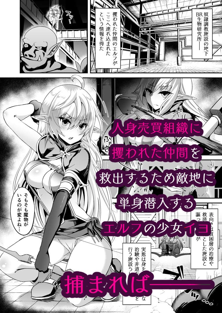 逃亡ELF総集編II サンプル 2