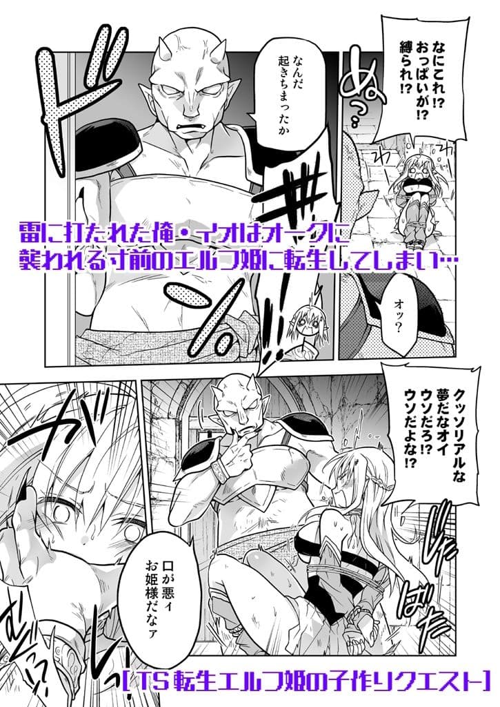 TS転生エルフ姫の子作りクエスト サンプル 1