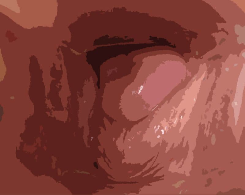 私の蟲姦あそび 第9話 妊娠中に元気なミミズ編 サンプル 2