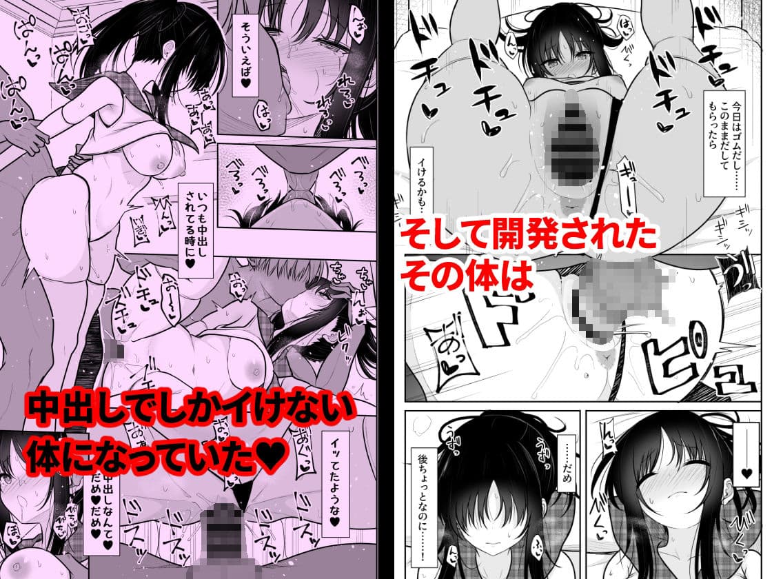 清楚な彼女を中出し中毒にさせるまで サンプル 3