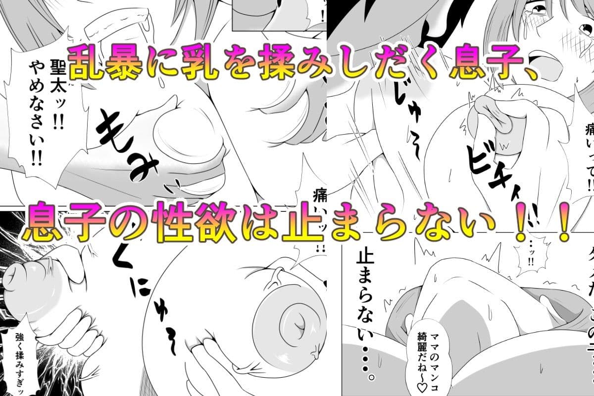 引きこもりのボクは毎日ママに抜いてもらってます サンプル 4