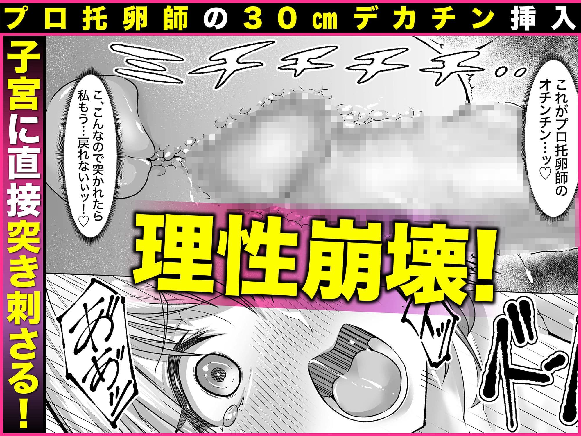 妊娠懇願寝取られ托卵妻〜30cm巨根托卵師に孕まされた変態人妻ミカ〜 サンプル 5