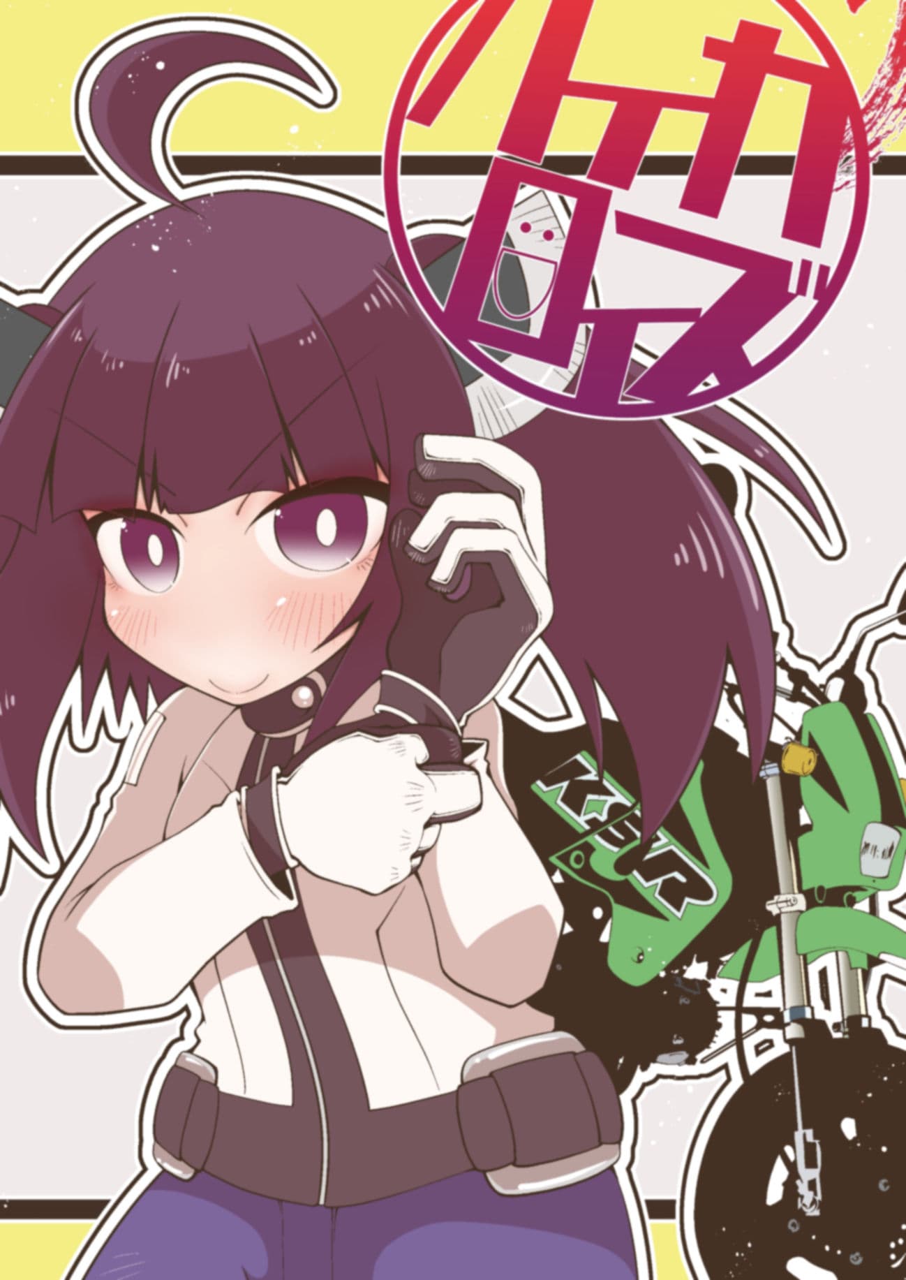 バイカロイズダッシュ サンプル 1