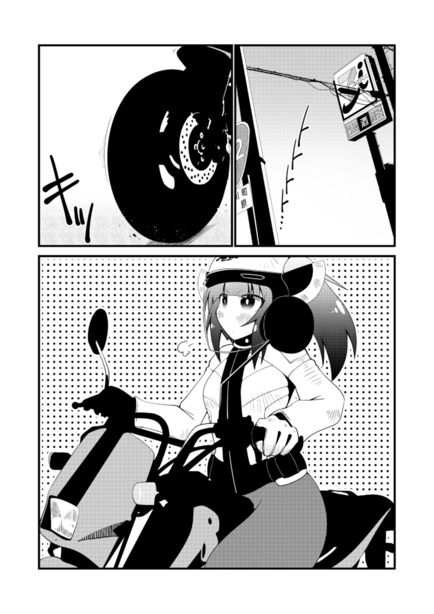 バイカロイズダッシュ サンプル 2
