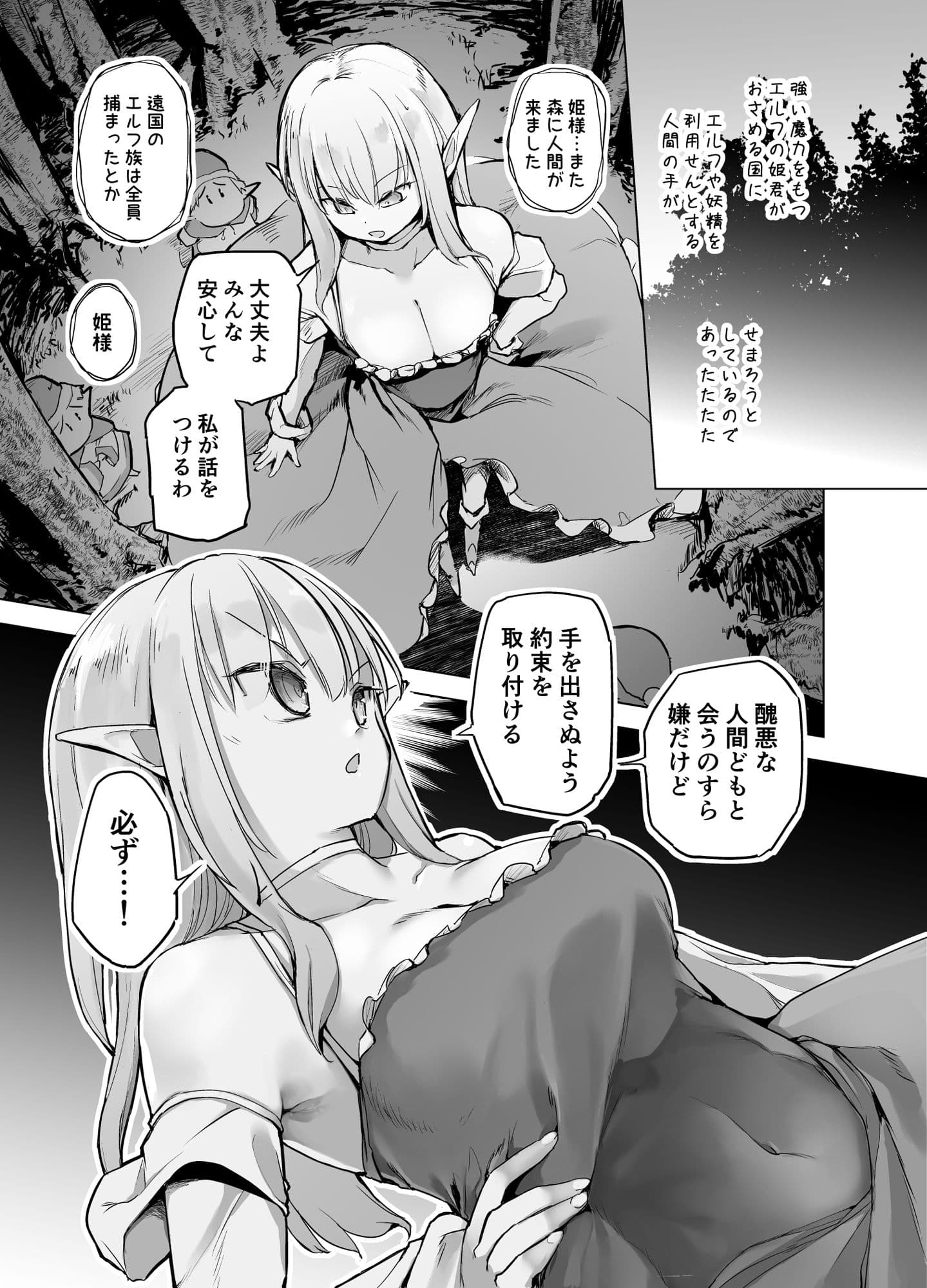 エルフの姫の誇りにかけて耐えます！ サンプル 1