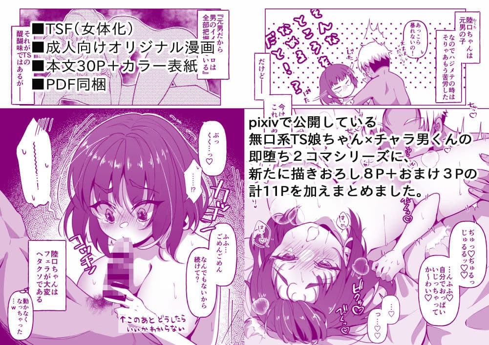 無口系TS娘ちゃんは即堕ちしました サンプル 7