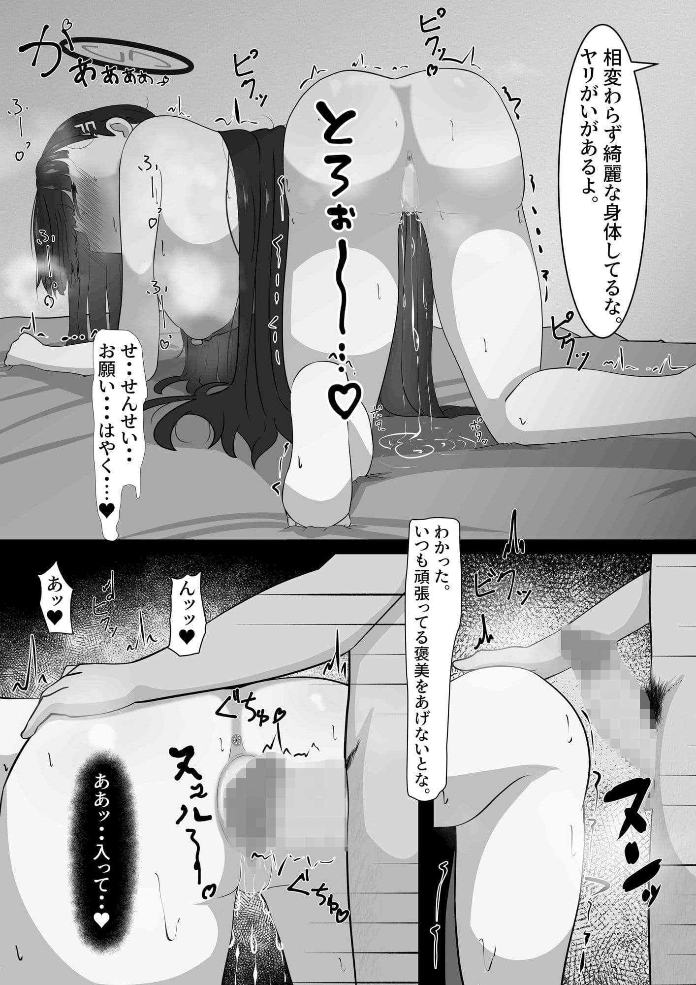 メスリオ サンプル 5