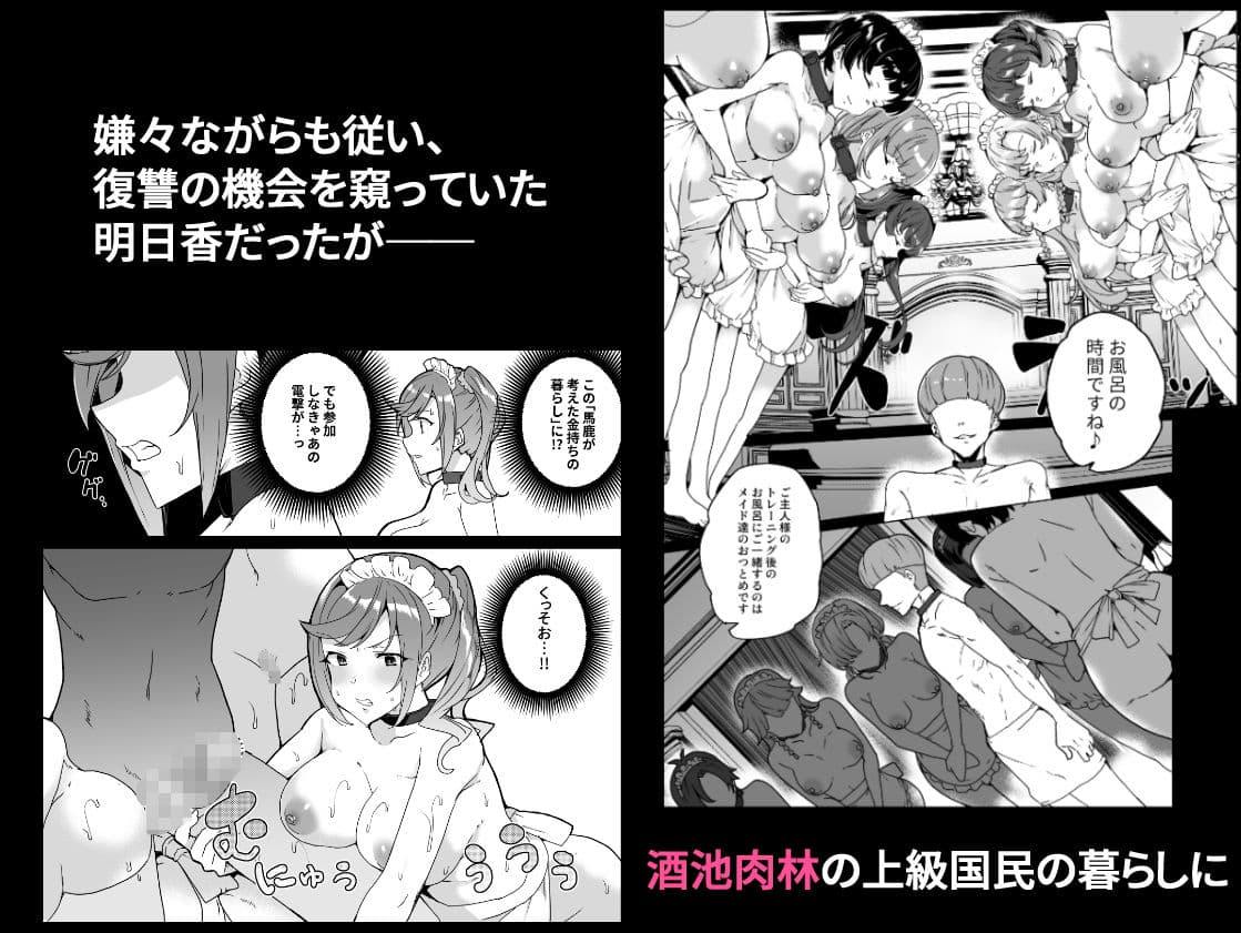 上級精子着床義務化！EX2 0級国民志木明日香 サンプル 3