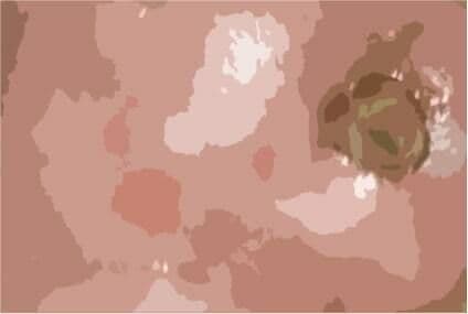 私の蟲姦遊び 第11話 妊娠中にカミキリ虫の幼虫とゴキブリの卵編 全編 サンプル 1