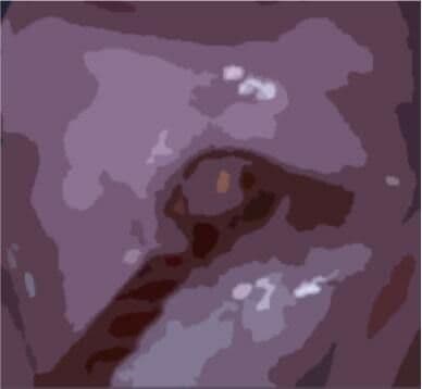 私の蟲姦遊び 第11話 妊娠中にカミキリ虫の幼虫とゴキブリの卵編 全編 サンプル 3