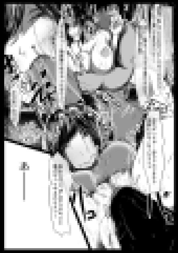 俺のヒロインが全員NTR サンプル 3