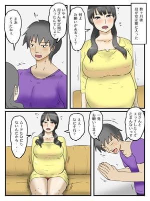 妊娠したお母さんは割と簡単にヤラせてくれる サンプル 5