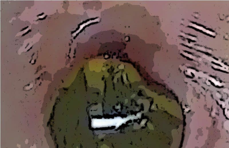 私の蟲姦遊び 第12話 妊娠中にナメクジとナメクジの卵編 全編 サンプル 3