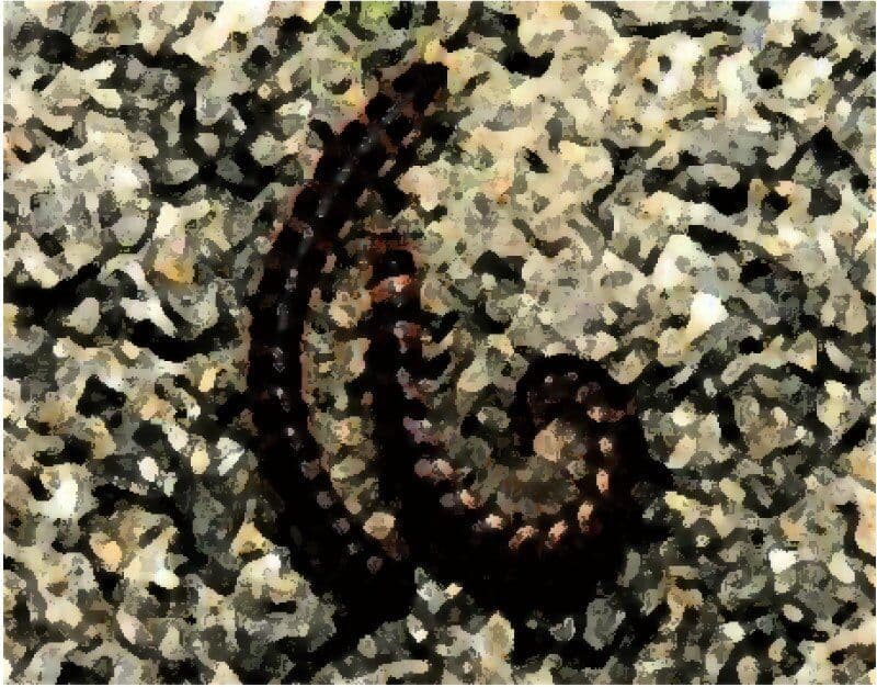 私の蟲姦遊び 第13話 妊娠中にヤスデ編 サンプル 2