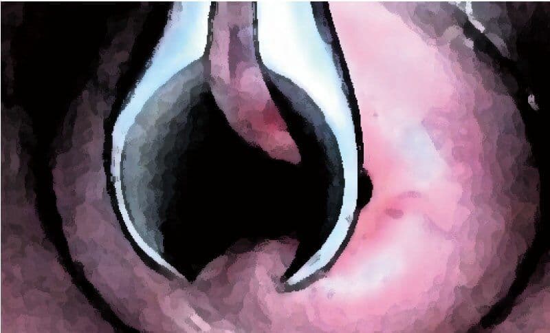 私の蟲姦遊び 第13話 妊娠中にヤスデ編 サンプル 5