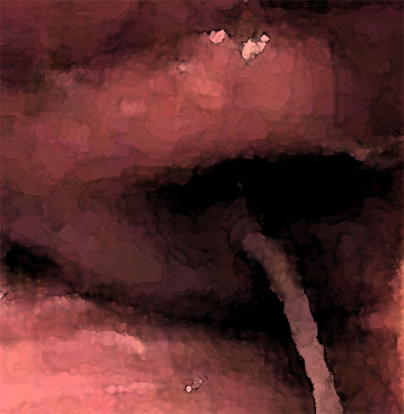 私の蟲姦遊び 第14話 妊娠中にカマキリと寄生虫ハリガネムシ編 サンプル 5