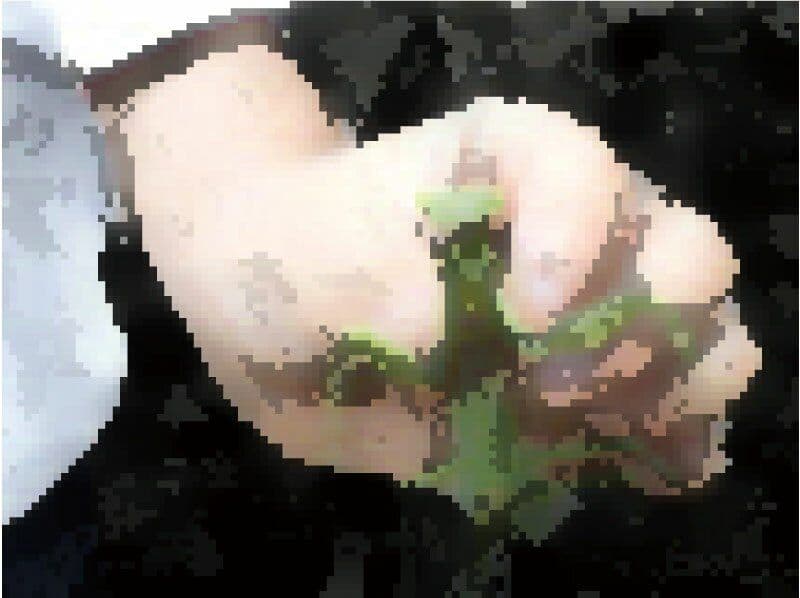 私の蟲姦遊び 第14話 妊娠中にカマキリと寄生虫ハリガネムシ編 サンプル 6