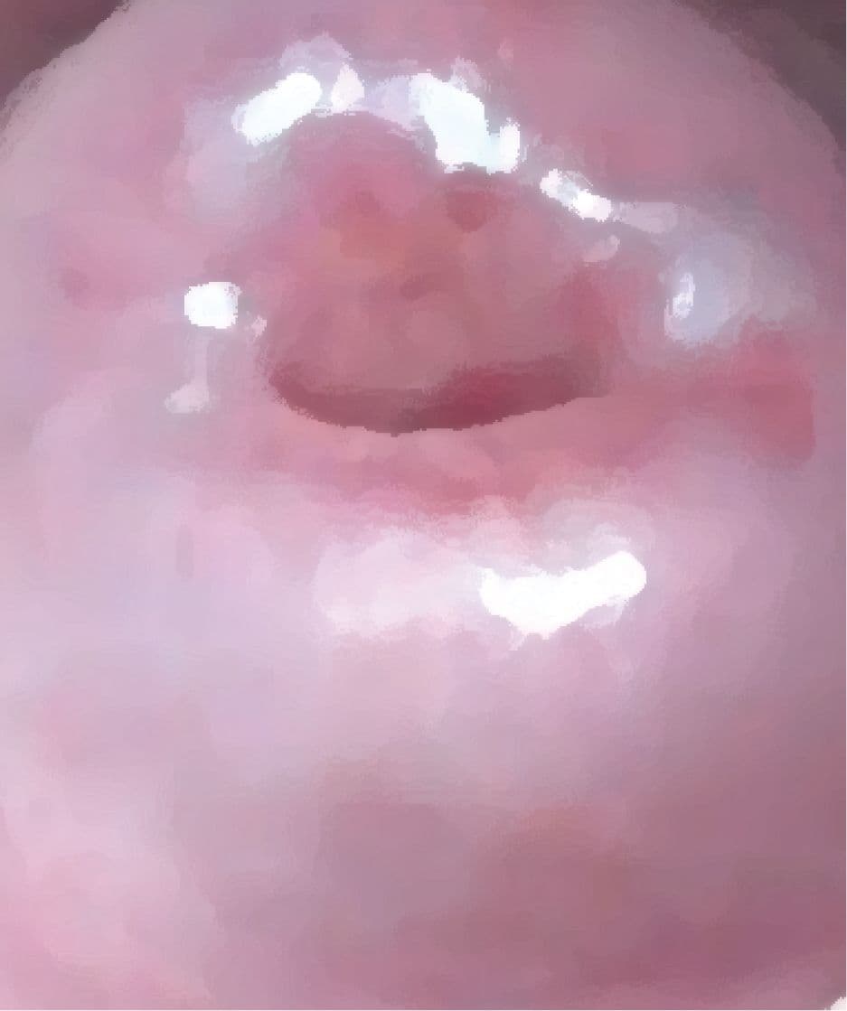 私の蟲姦遊び 第15話 妊娠中にムカデとムカデの卵編 サンプル 5