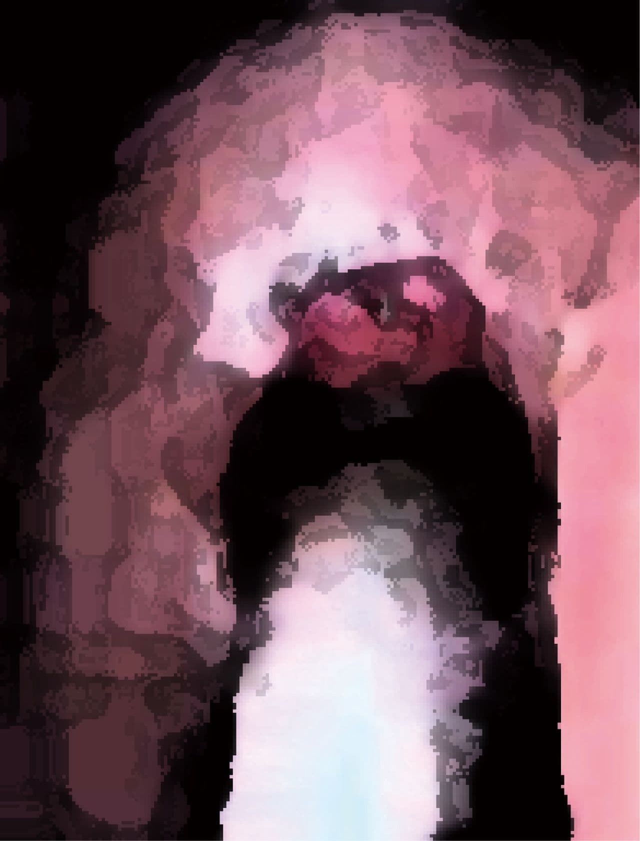 私の蟲姦遊び 第15話 妊娠中にムカデとムカデの卵編 サンプル 7