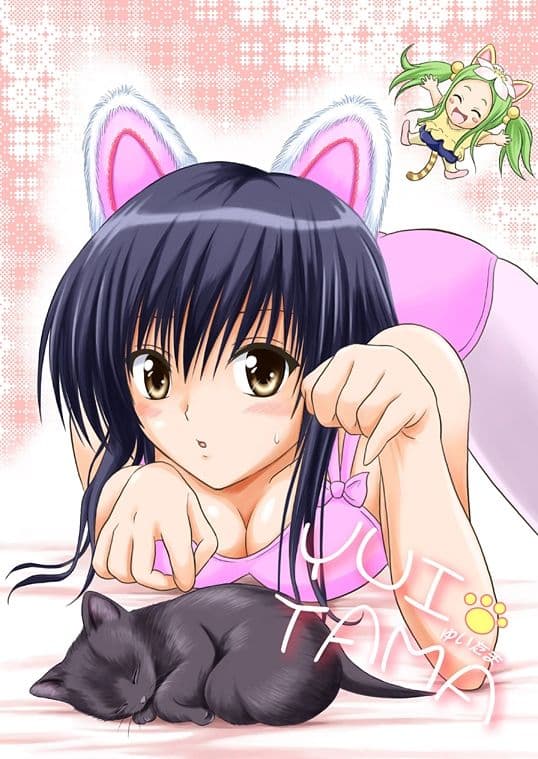 YUITAMA サンプル 1