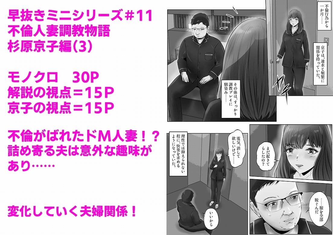不倫人妻調教物語 杉原京子編（3） サンプル 1
