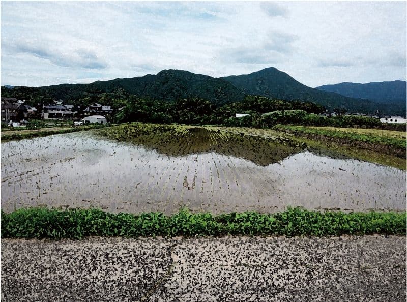 私の蟲姦遊び 第16 話 妊娠中にオオキベリアオゴミムシ編 サンプル 1