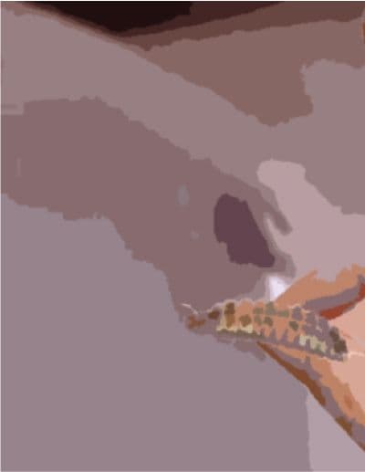 私の蟲姦遊び 第16 話 妊娠中にオオキベリアオゴミムシ編 サンプル 3