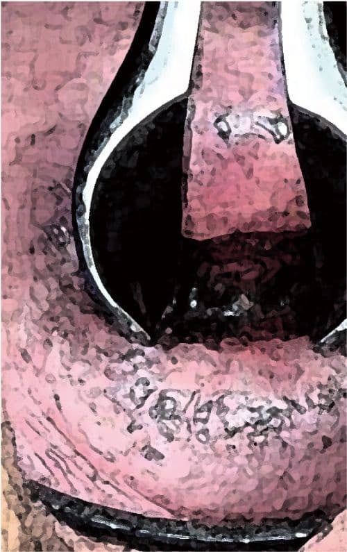 私の蟲姦遊び 第16 話 妊娠中にオオキベリアオゴミムシ編 サンプル 5