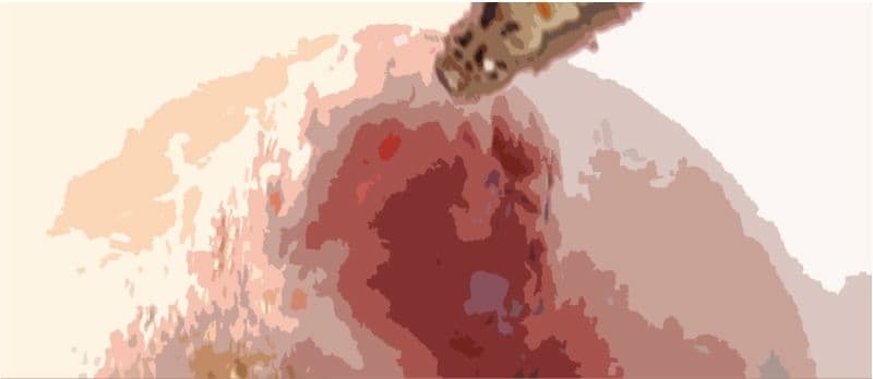 私の蟲姦遊び 第16 話 妊娠中にオオキベリアオゴミムシ編 サンプル 8