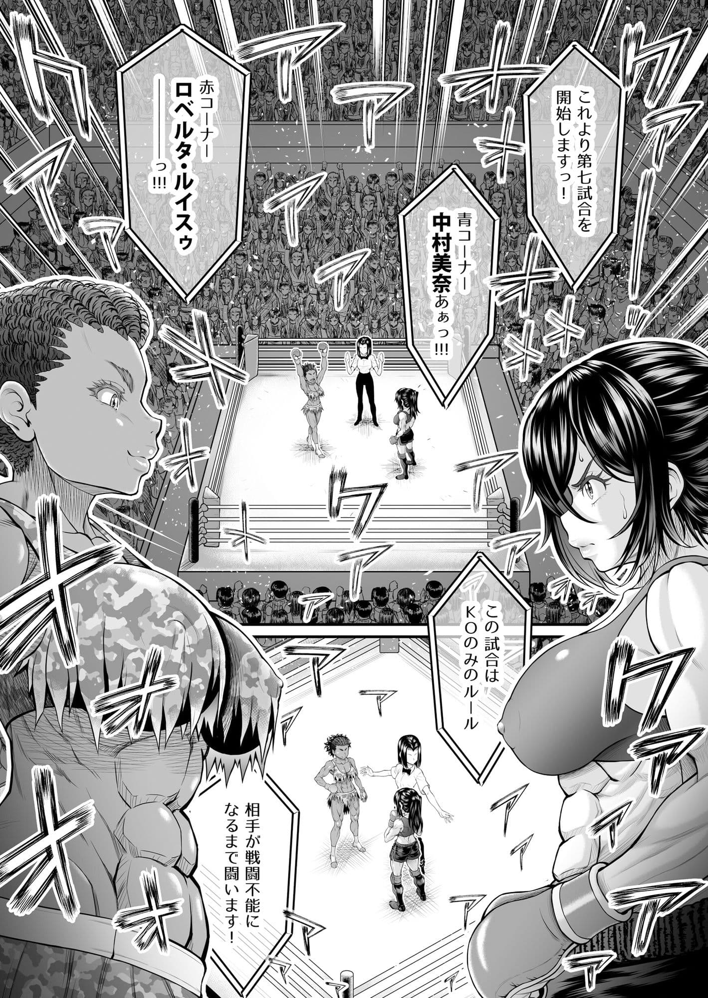 Fighting Dimention3 サンプル 1