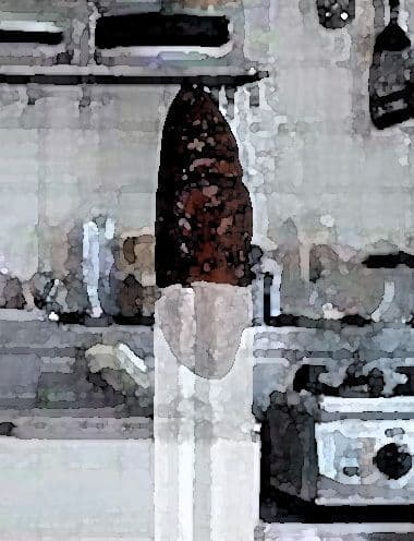 私の蟲姦遊び 17 話 妊娠中にスズメガのサナギ編 サンプル 1