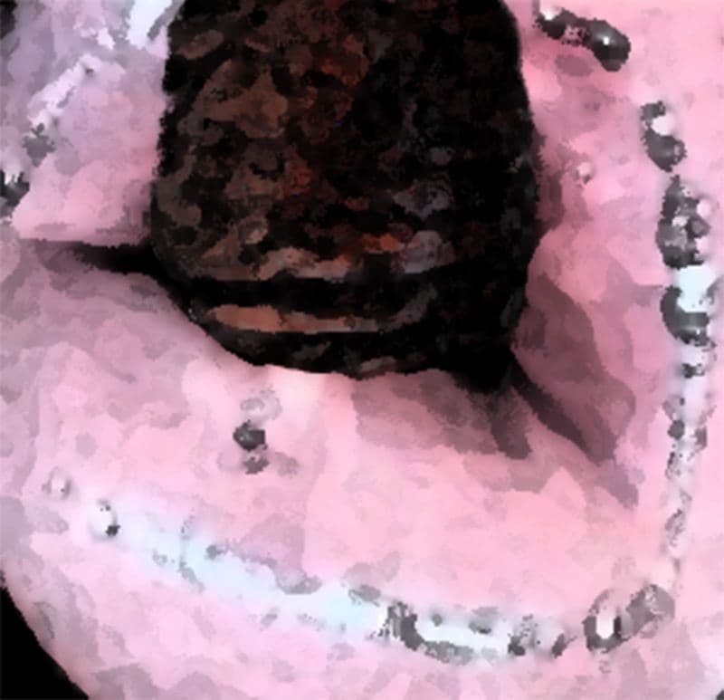 私の蟲姦遊び 17 話 妊娠中にスズメガのサナギ編 サンプル 3