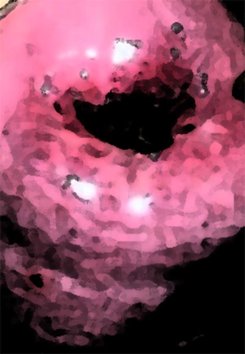 私の蟲姦遊び 17 話 妊娠中にスズメガのサナギ編 サンプル 6