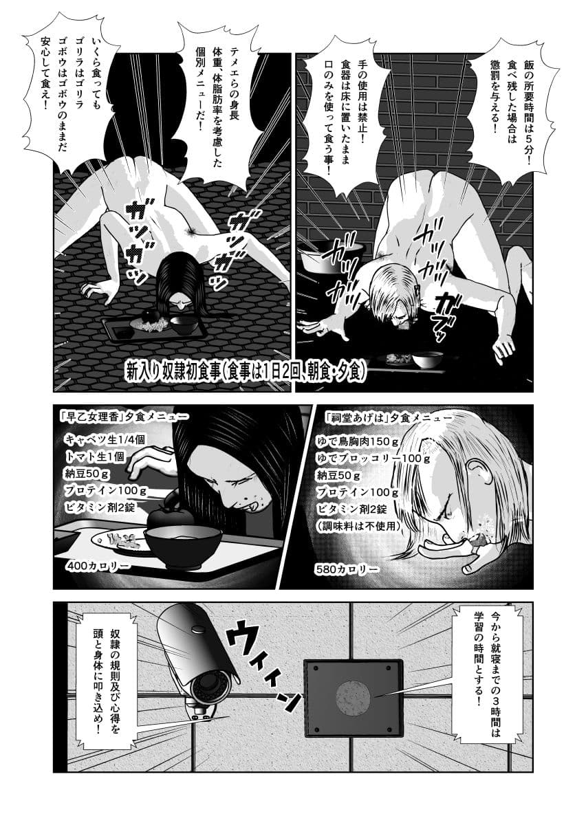 奴●闘女5 サンプル 4