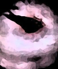 私の蟲姦遊び 18話 妊娠中に5 匹のミズアブの幼虫編 サンプル 4