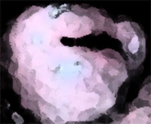 私の蟲姦遊び 18話 妊娠中に5 匹のミズアブの幼虫編 サンプル 7