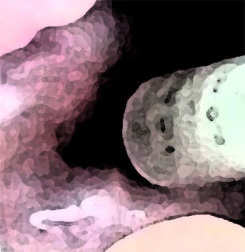 私の蟲姦遊び 18話 妊娠中に5 匹のミズアブの幼虫編 サンプル 8