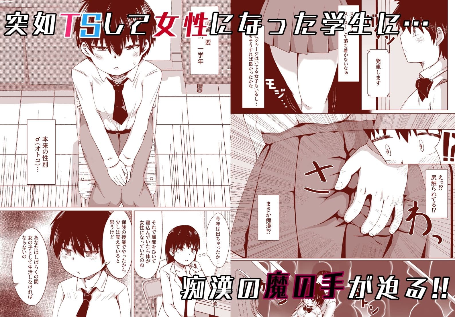 TS雌堕ち痴●電車 サンプル 1